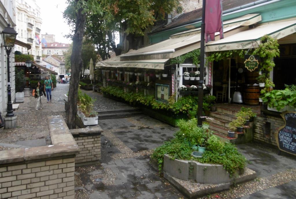Apartment Nedic Βελιγράδι Εξωτερικό φωτογραφία